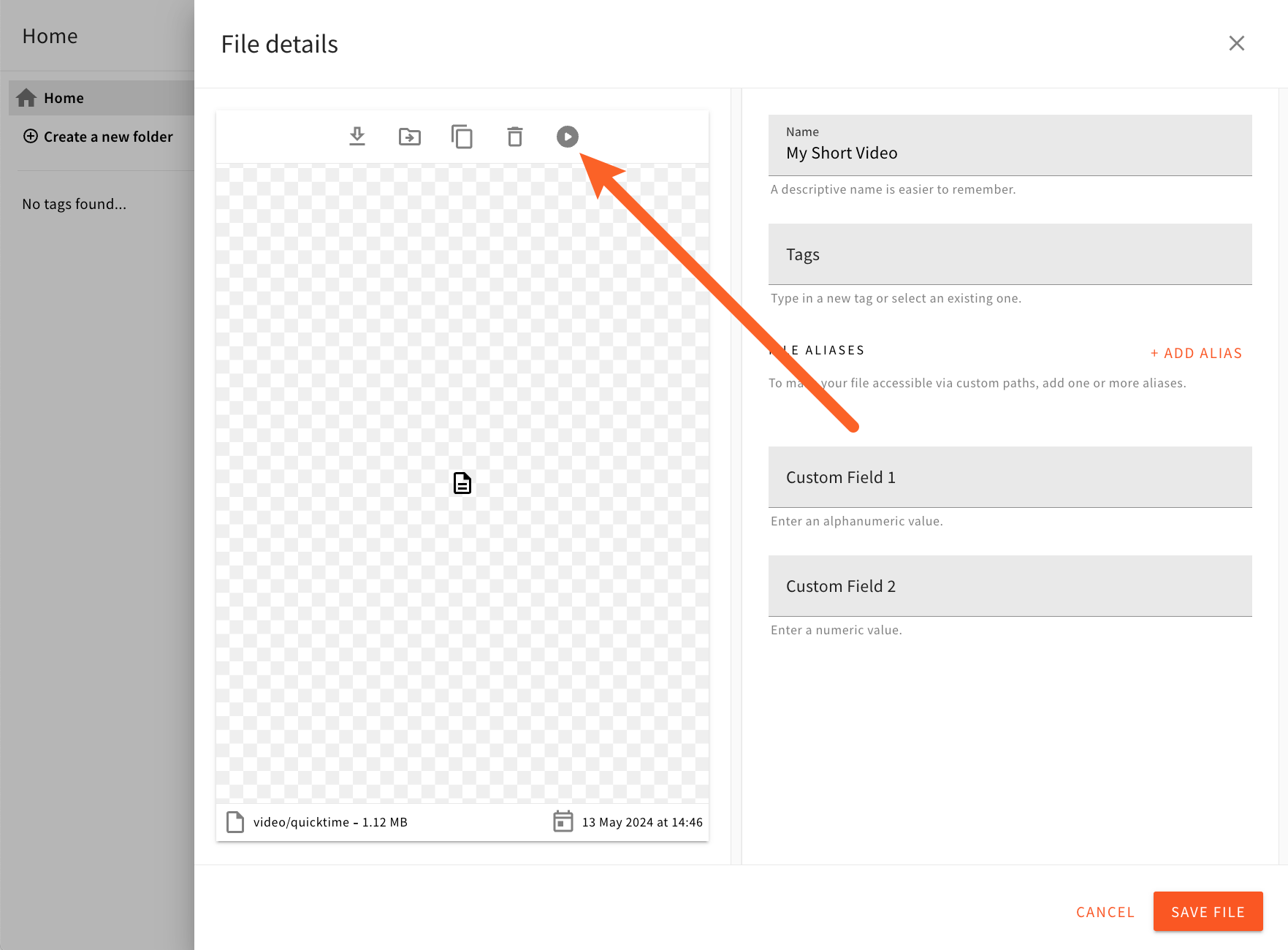 File Details Panel - Play Video Action